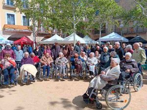 excursions d'un dia per a gent gran