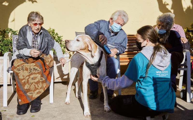 perroterapia y gatoterapia